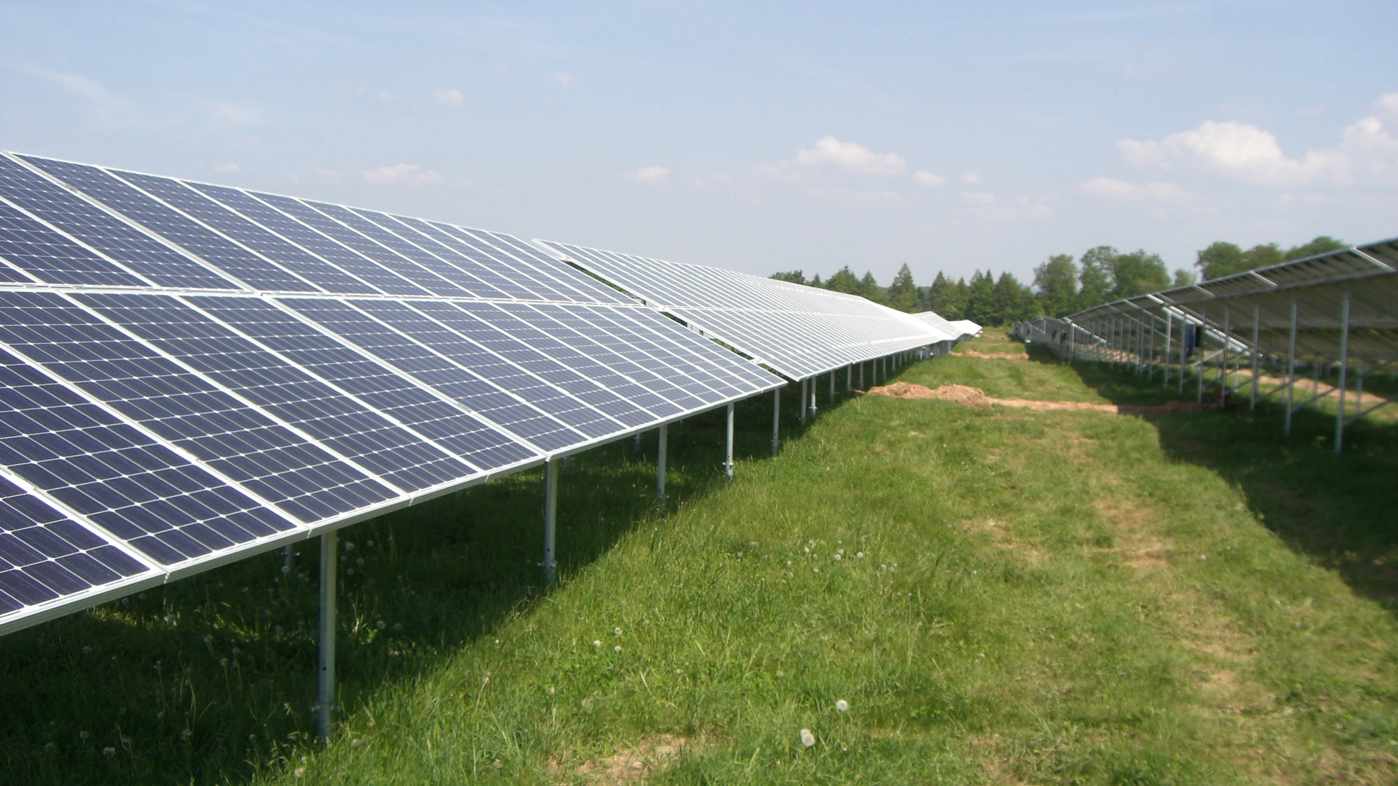 Mehrere Reihen Solarpanels glänzen blau auf einer grünen Wiese unter blauem Himmel