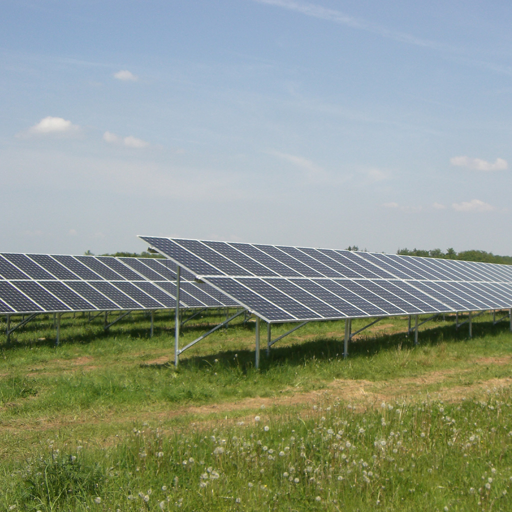 Mehrere blaue Solarpaneele stehen in Reihen auf einer grünen Wiese bei Sonne