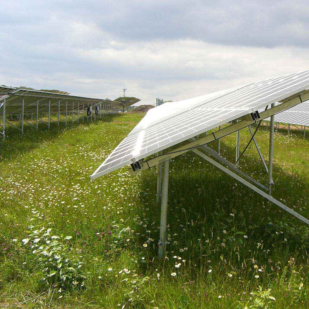 Mehrere Solarpanels stehen auf einer grünen Wiese mit bunten Wildblumen