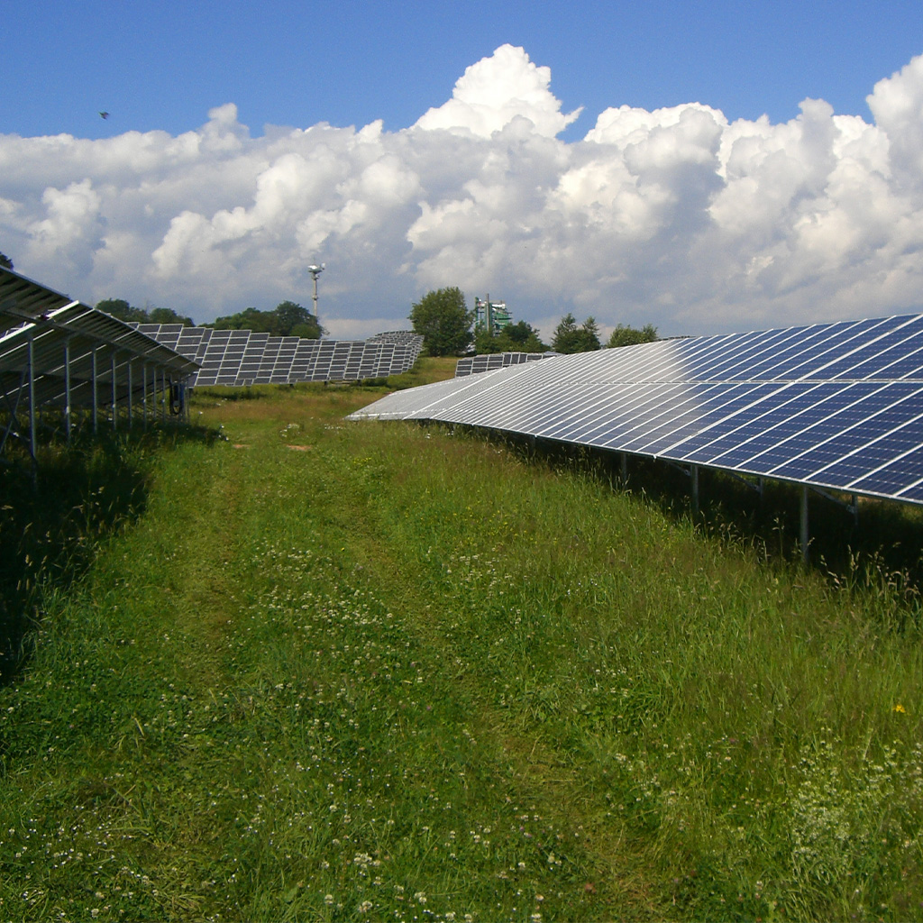Mehrere glänzende Solarpanels stehen auf grüner Wiese unter wolkigem Himmel