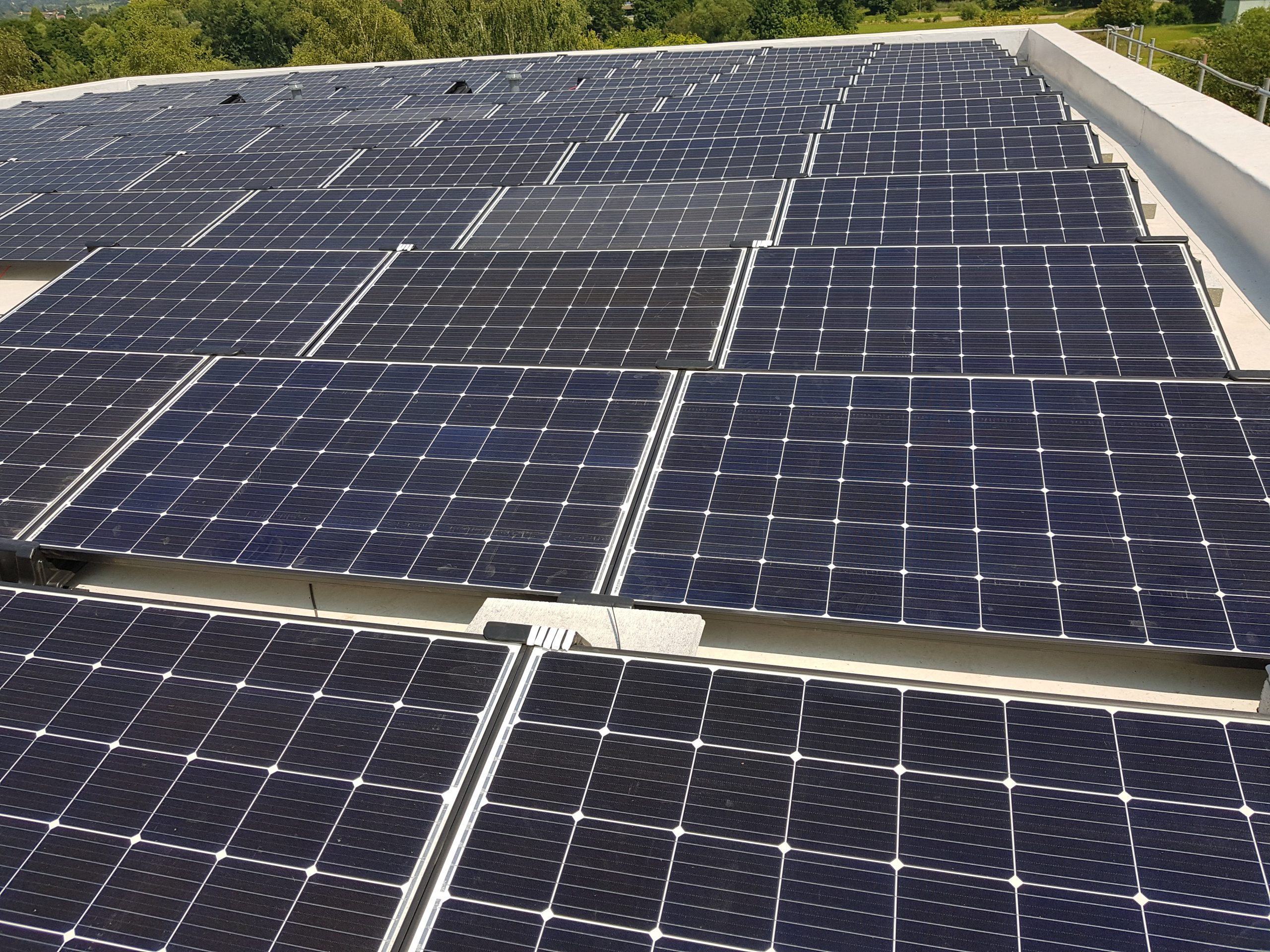 Mehrere dunkelblaue Solarmodule liegen nebeneinander auf einem flachen Dach